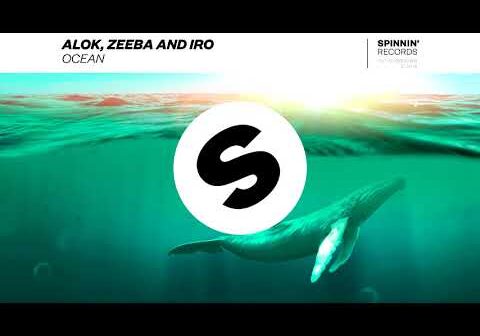 Ocean - Alok